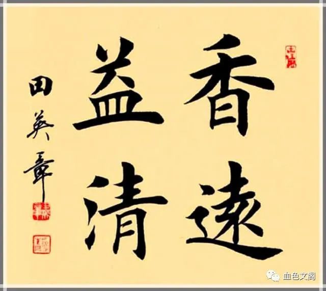 田字出头讲才气，独木成船双木林打一个正确生肖,警惕虚假宣传落实,综合解答解释落实